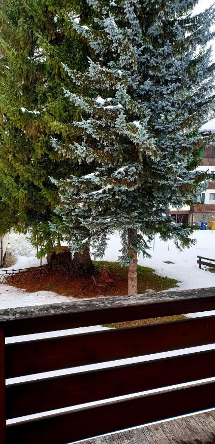 Luminoso Ed Accogliente, Centralissimo Appartamento Indipendente Cortina dʼAmpezzo Eksteriør bilde
