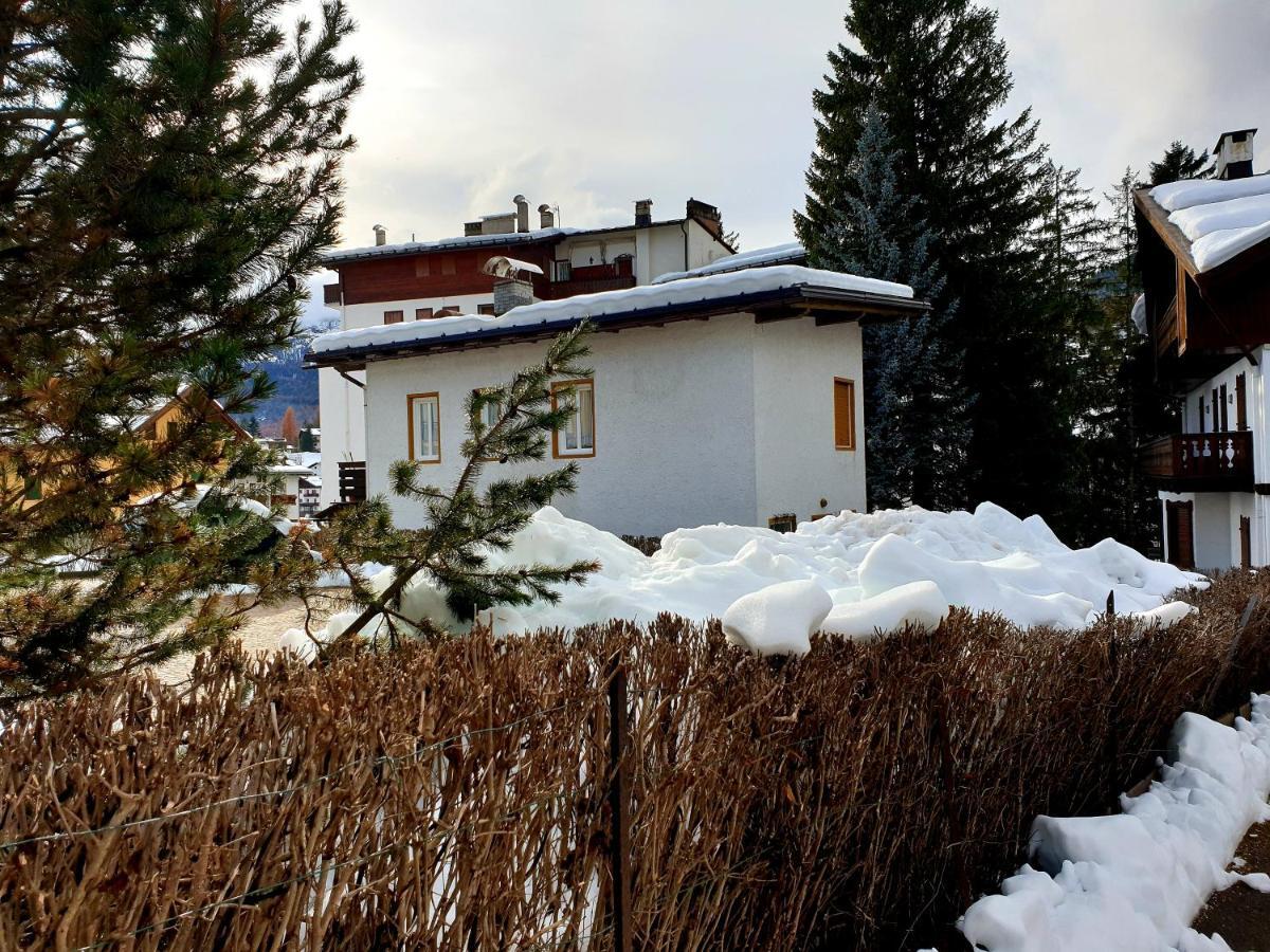 Luminoso Ed Accogliente, Centralissimo Appartamento Indipendente Cortina dʼAmpezzo Eksteriør bilde
